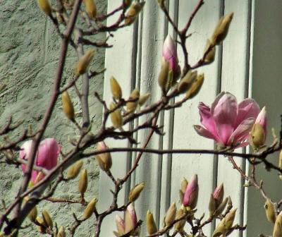 Прикрепленное изображение: 302.jpg